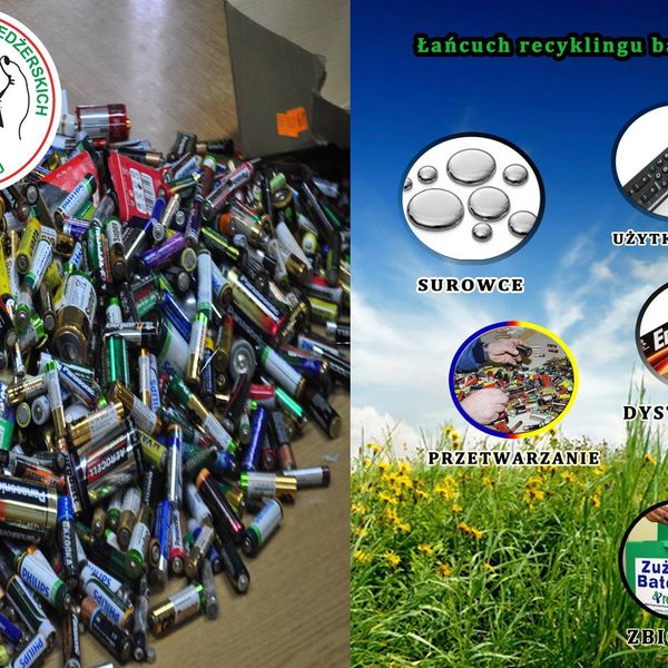 Uczniowie Zespołu Szkół Menedżerskich w Świeciu, pod kierunkiem mgr Beaty Suchomskiej, uczestniczyli (zdjęcie 6)