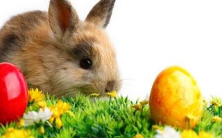 Najserdeczniejsze życzenia zdrowych,