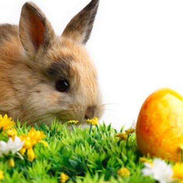 Najserdeczniejsze życzenia zdrowych,