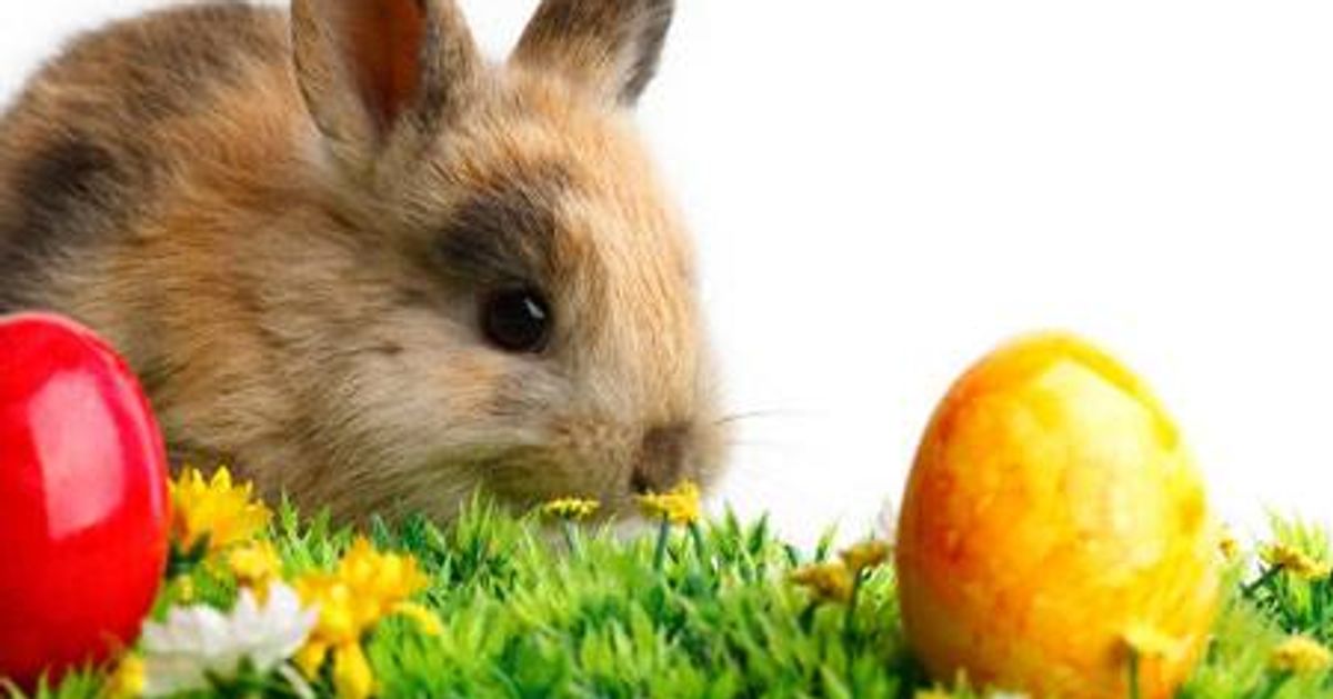 Najserdeczniejsze życzenia zdrowych,