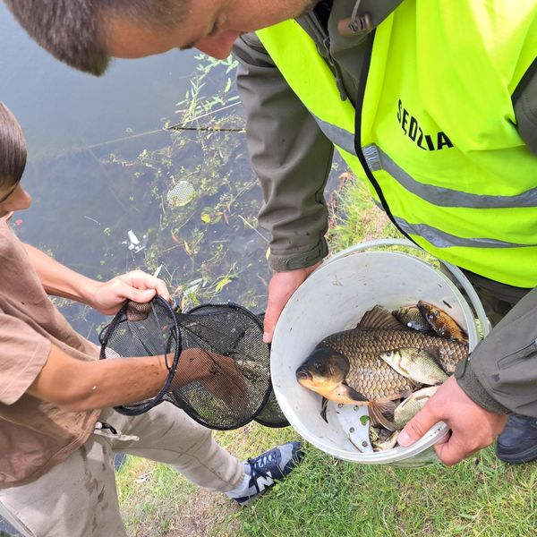 W dniu 12.06.2024 drużyna ZSM miała przyjemność wziąć udział w Zawodach Wędkarskich zorganizowanych  (zdjęcie 9)