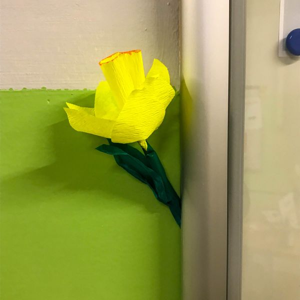 Witaj wiosno (zdjęcie 5)