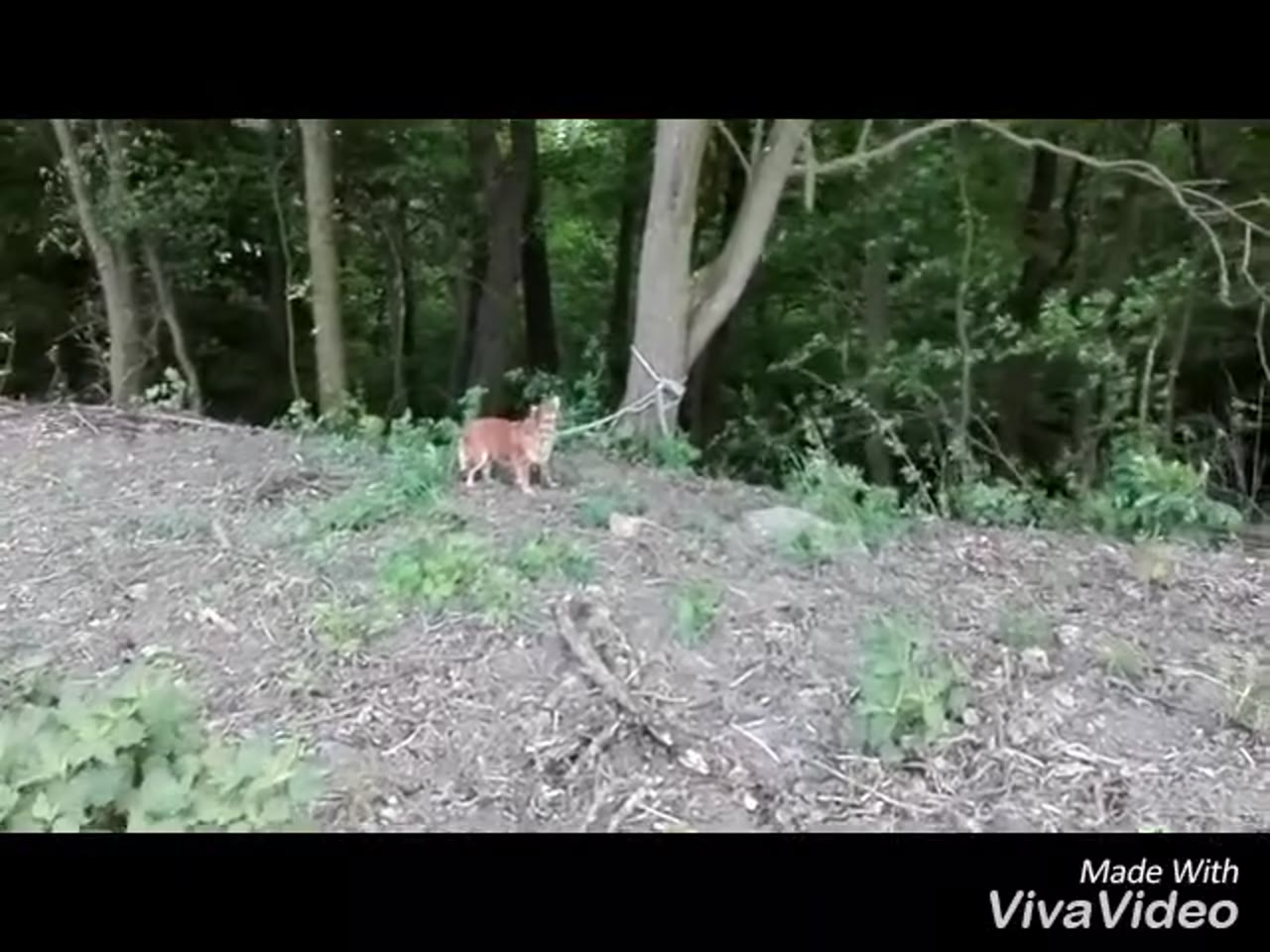 Klatka z filmu 6 — REKLAMA