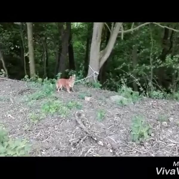 Klatka z filmu 6 — REKLAMA