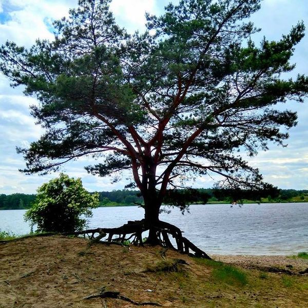 Bitewny kurz Menedżerady już opadł, a grupa zwycięzców z klasy II TA wraz z wychowawcą Mirosławą Kru (zdjęcie 10)