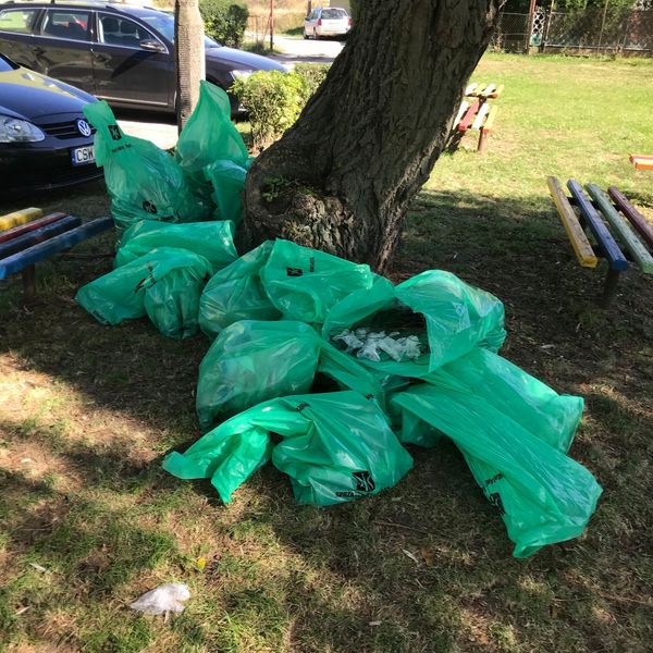 Sprzątanie świata 2020 (zdjęcie 1)