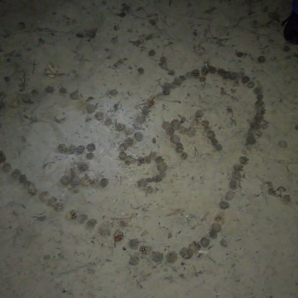 Bitewny kurz Menedżerady już opadł, a grupa zwycięzców z klasy II TA wraz z wychowawcą Mirosławą Kru (zdjęcie 20)