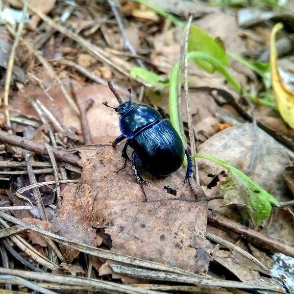 Bitewny kurz Menedżerady już opadł, a grupa zwycięzców z klasy II TA wraz z wychowawcą Mirosławą Kru (zdjęcie 13)