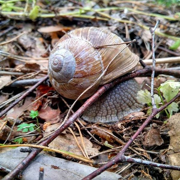 Bitewny kurz Menedżerady już opadł, a grupa zwycięzców z klasy II TA wraz z wychowawcą Mirosławą Kru (zdjęcie 3)