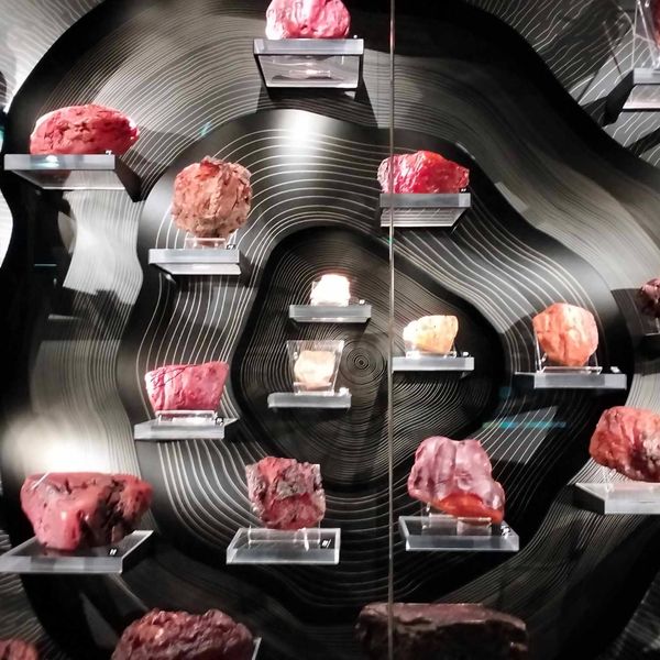 Wycieczka do Gdańska – Muzeum Bursztynu (zdjęcie 1)