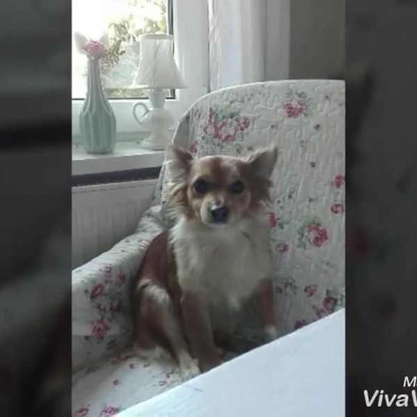 Klatka z filmu 2 — REKLAMA