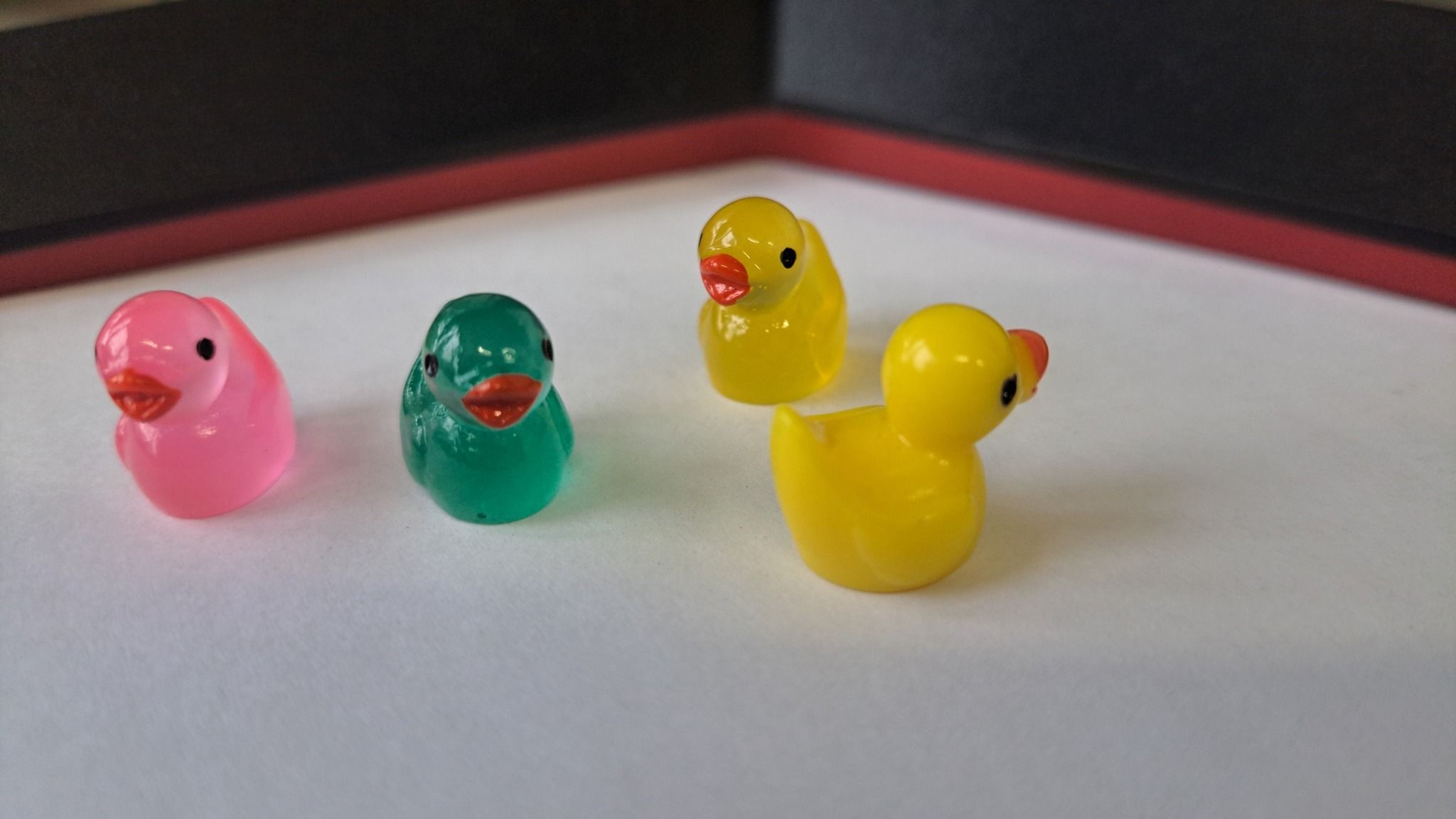 Po ZSM grasują dzikie kaczki🦆 Znacie ich hodowcę? Pokażcie w komentarzach ile kaczek udało się Wam