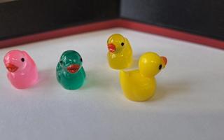 Po ZSM grasują dzikie kaczki🦆 Znacie ich hodowcę? Pokażcie w komentarzach ile kaczek udało się Wam 