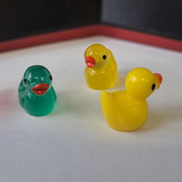 Po ZSM grasują dzikie kaczki🦆 Znacie ich hodowcę? Pokażcie w komentarzach ile kaczek udało się Wam 