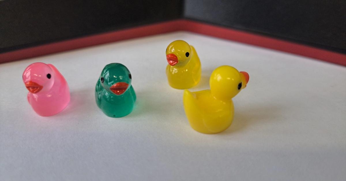 Po ZSM grasują dzikie kaczki🦆 Znacie ich hodowcę? Pokażcie w komentarzach ile kaczek udało się Wam 