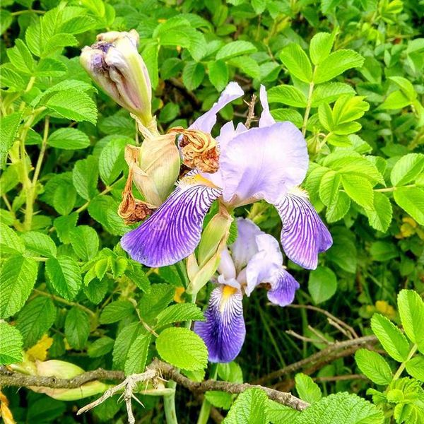 Bitewny kurz Menedżerady już opadł, a grupa zwycięzców z klasy II TA wraz z wychowawcą Mirosławą Kru (zdjęcie 12)