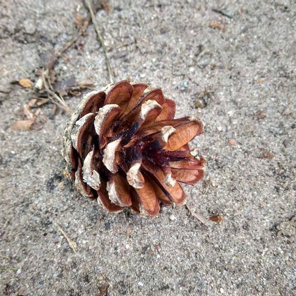 Bitewny kurz Menedżerady już opadł, a grupa zwycięzców z klasy II TA wraz z wychowawcą Mirosławą Kru (zdjęcie 2)