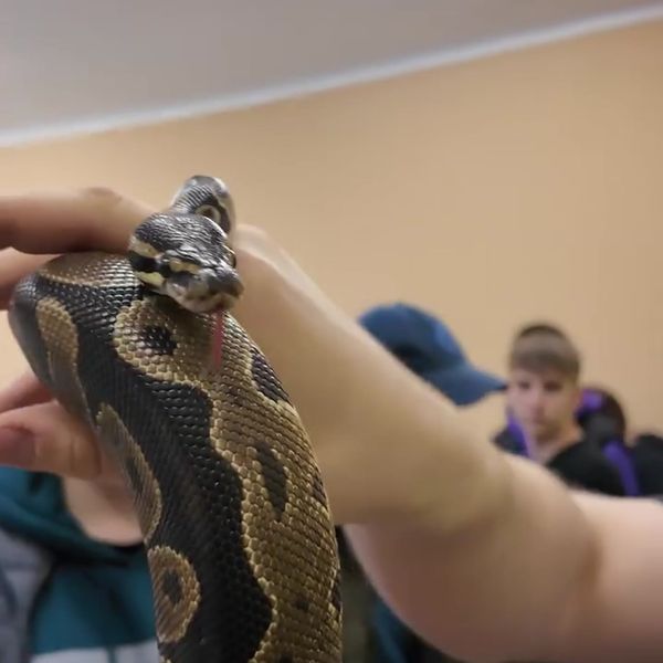 Klatka z filmu 4 — Dzień Otwarty w ZSM <3