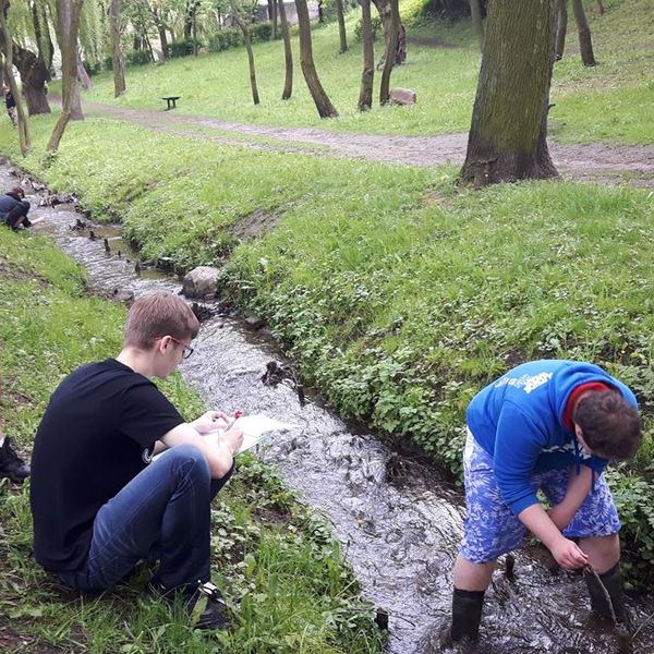 Zajęcia terenowe z geografii (zdjęcie 8)