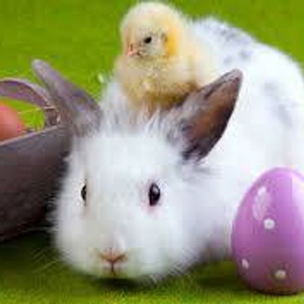 Najserdeczniejsze życzenia zdrowych,