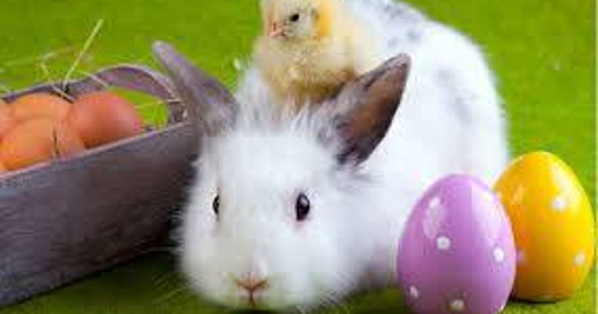 Najserdeczniejsze życzenia zdrowych,