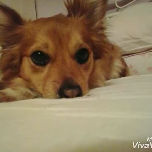 Klatka z filmu 1 — REKLAMA