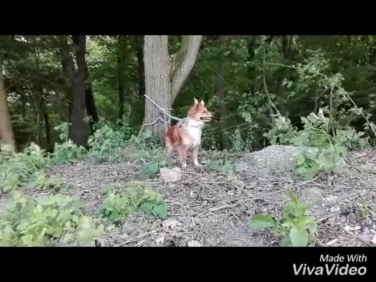 Klatka z filmu 7 — REKLAMA