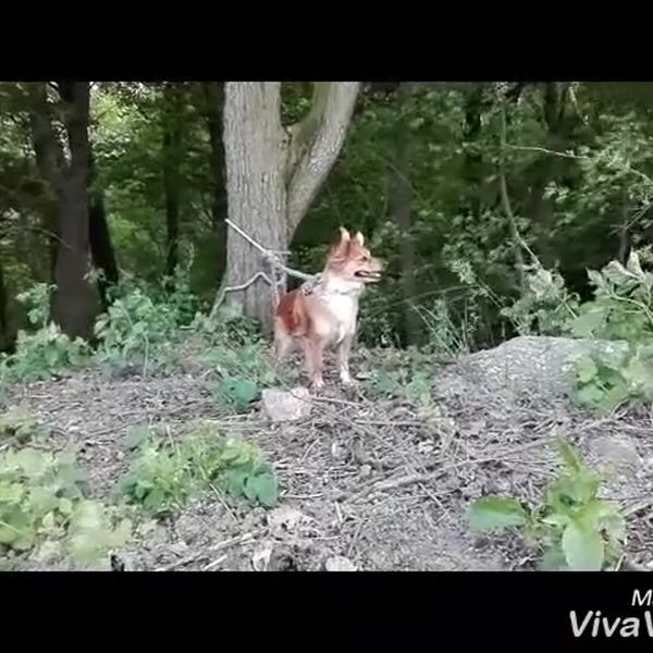 Klatka z filmu 7 — REKLAMA