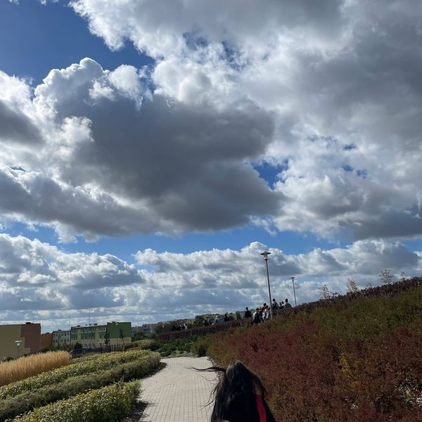 Sprzątanie Świata 2022 (zdjęcie 3)