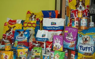 PRZEKAZALIŚMY KARMĘ ZBIERANĄ DLA SCHRONISKA