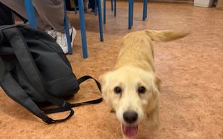 Z telefonuZdjęcia z telefonu