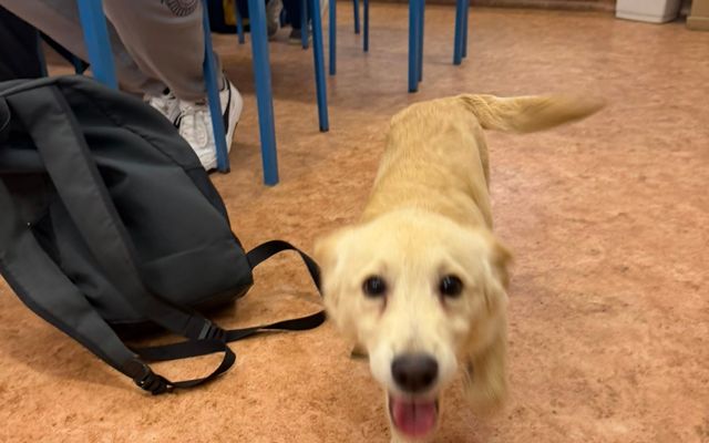 Z telefonuZdjęcia z telefonu