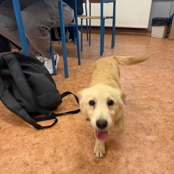 Z telefonuZdjęcia z telefonu