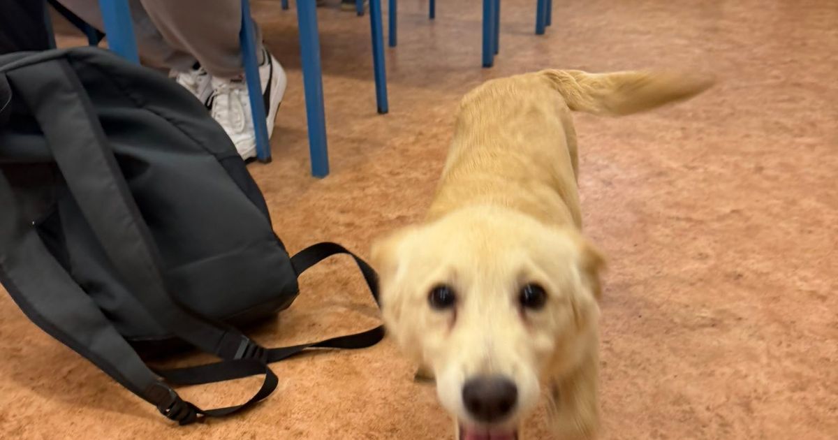 Z telefonuZdjęcia z telefonu