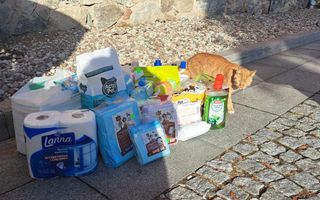 398229909_804900514971108_6229204651960699138_n