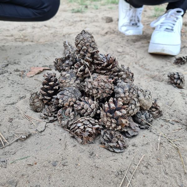 Integracja 2021 (zdjęcie 18)