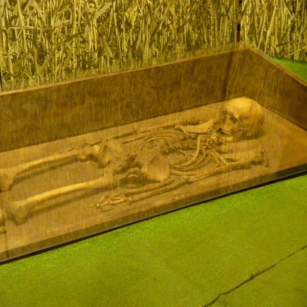 Szkolna przygoda pełna historii i słońca! 🌞🏰  29 kwietnia 2025 roku uczniowie naszej szkoły wyrusz (zdjęcie 3)