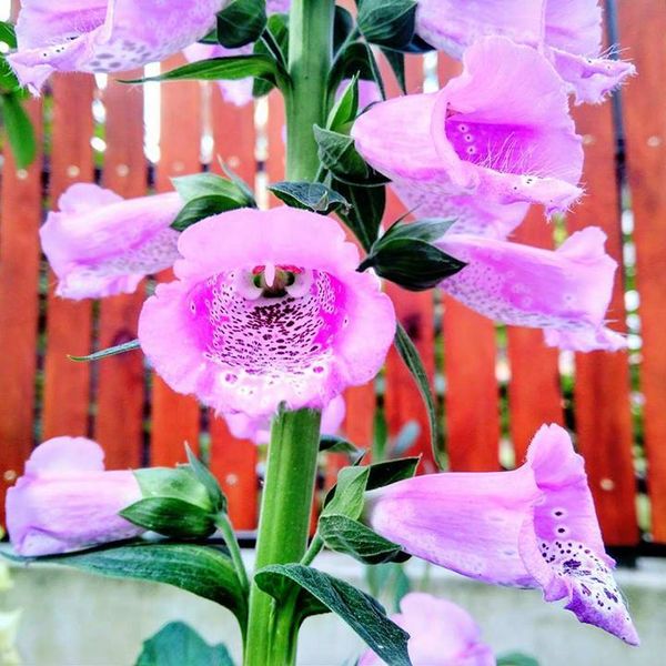 Bitewny kurz Menedżerady już opadł, a grupa zwycięzców z klasy II TA wraz z wychowawcą Mirosławą Kru (zdjęcie 7)