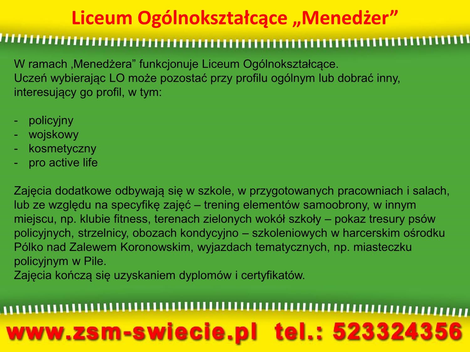 Zespół Szkół Menedżerskich w Świeciu – prezentacja (zdjęcie 10)