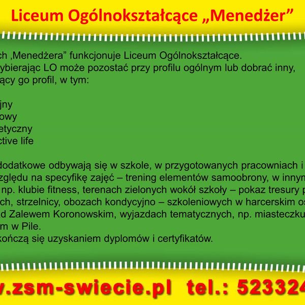 Zespół Szkół Menedżerskich w Świeciu – prezentacja (zdjęcie 10)