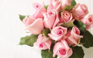 5e54ffcaa3399_o_original