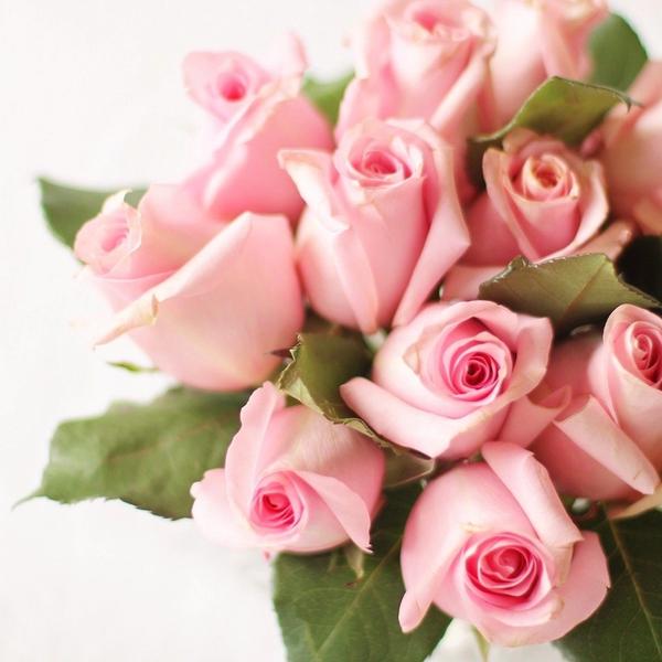 5e54ffcaa3399_o_original