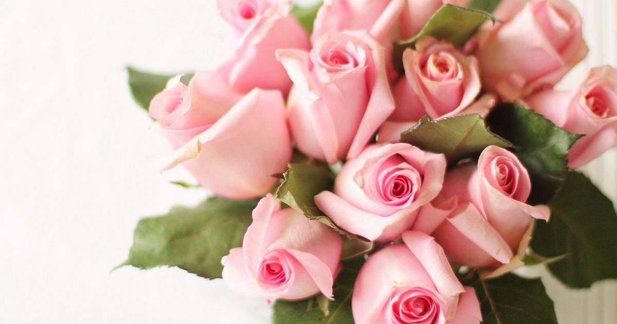 5e54ffcaa3399_o_original