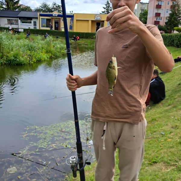 W dniu 12.06.2024 drużyna ZSM miała przyjemność wziąć udział w Zawodach Wędkarskich zorganizowanych  (zdjęcie 11)
