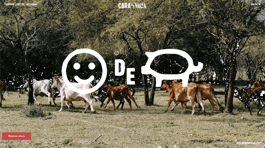 Cara de Vaca