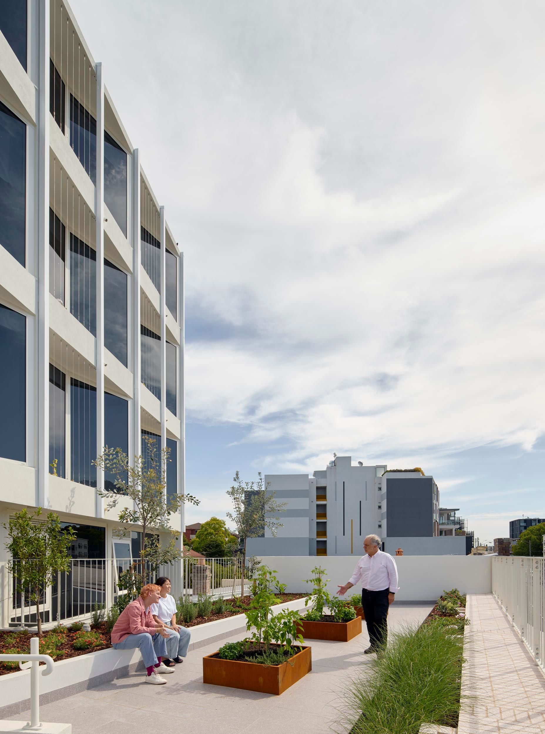 Photo of communal outdoor terrace. People are seated and standing amongst planter boxes.