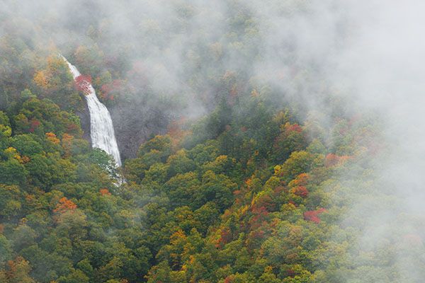 Waterfall Image
