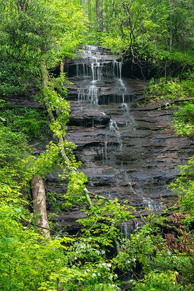Waterfall Image