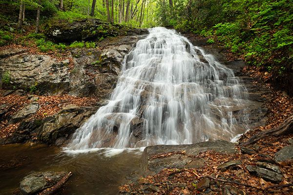 Waterfall Image