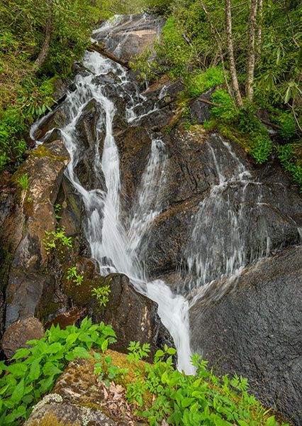 Waterfall Image